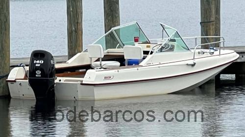 Boston Whaler Revenge 19 opinión y ficha técnica